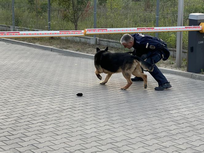 16-latek pchnięty nożem. Bijatyka zakończyłą się fatalnie. Policja szuka sprawcy