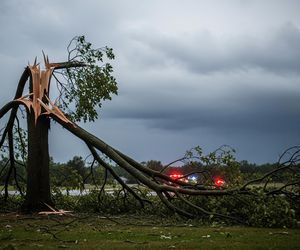 Nawałnice przeszły nad Polską. Ilu rannych w wyniku silnych wichur?