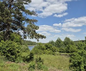 To jezioro w Olsztynie ma niezwykle czystą wodę. Jest kilka dzikich plaż, które świecą pustkami