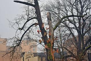 W Parku Kazimierza Wielkiego pojawiły się nowe domki dla owadów [ZDJĘCIA]