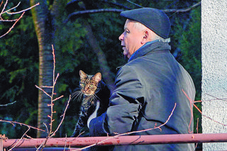 Wszystkie koty prezesa Jarosława Kaczyńskiego