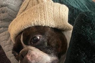 Dawid Kwiatkowski świętował urodziny ukochanego przyjaciela. To jego największa miłość!