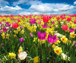 Życzenia na DZIEŃ MATKI 2025. Wyjątkowe i wzruszające rymowanki z okazji święta mam! [26.05.2025]