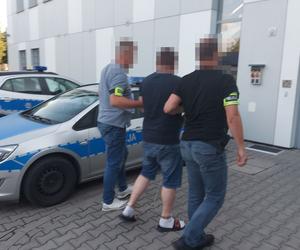 Uprawiał niedozwolone rośliny. Do jego drzwi zapukała policja [GALERIA]