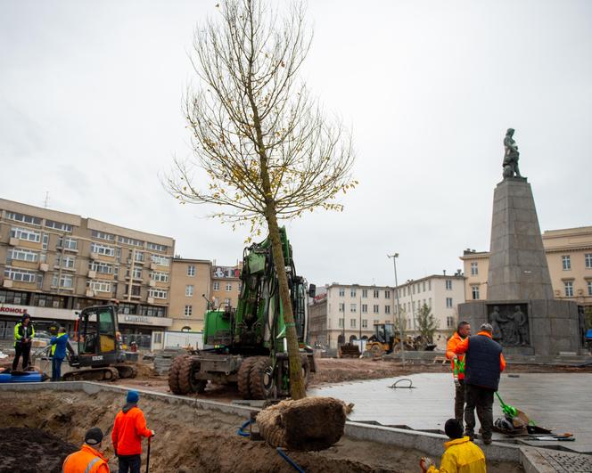 Plac Wolności coraz bardziej zielony