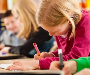 Test z przyrody po klasie 4: zadania z przyrody klasa 4 do druku [PDF]