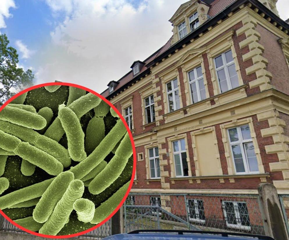 Bakteria Legionella w szpitalu w Chorzowie. Podjęto pilne działania