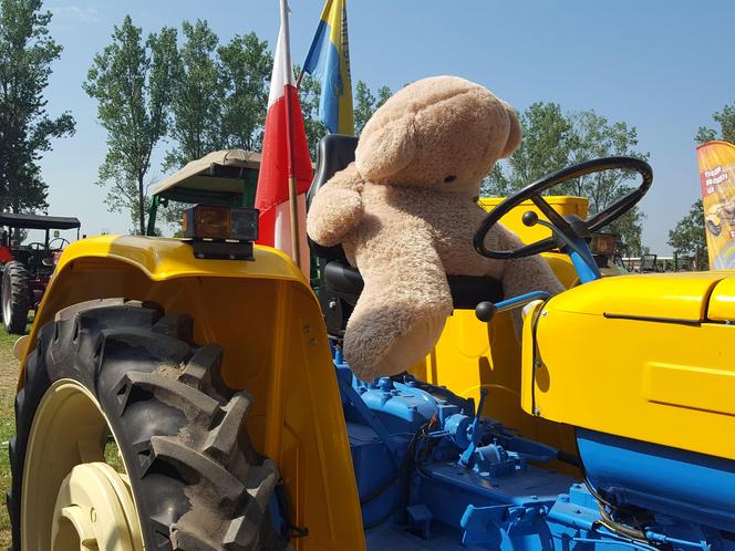 Festiwal starych ciągników w Wilkowicach. Setki maszyn, tysiące widzów i upał