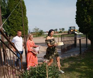 Rolnik szuka żony