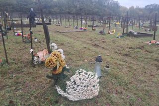 Rekordowa akcja Światełko Pamięci. Uczniowie z Łodzi porządkowali opuszczone groby