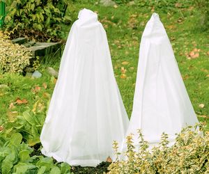 Okrywanie roślin na zimę