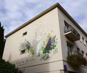 Agnieszka Osiecka mural ul. Francuska 33 w Warszawie