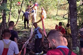 Nietypowa akcja strażaków na Pomorzu. Uratowali konie, które utknęły w bagnie