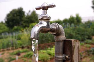 Ujęcia wody w ogrodzie – skąd brać wodę do podlewania i jak rozmieścić krany?