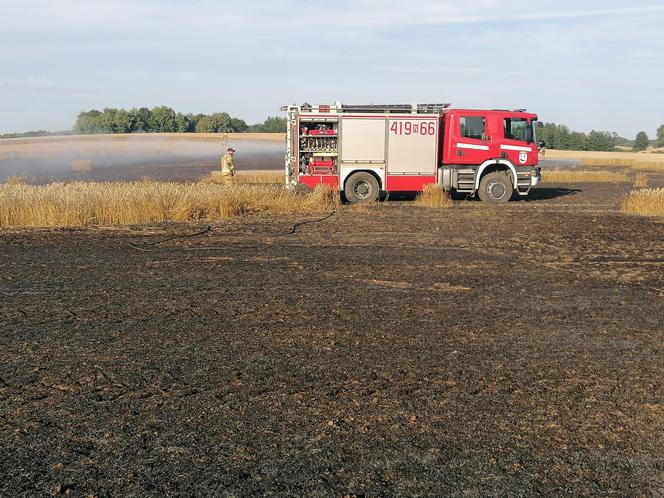 Dwa pożary zboża oraz rżyska w powiecie braniewskim