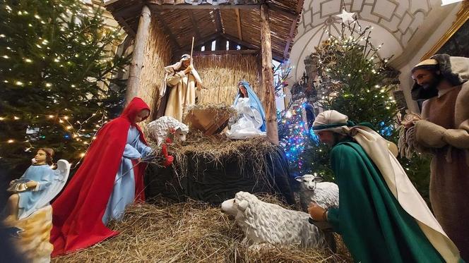 Szopki Bożonarodzeniowe - Stare Miasto Zamość