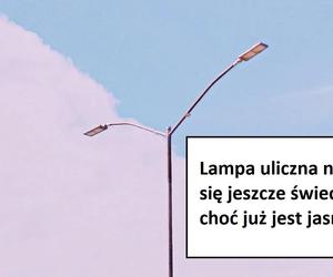 Część zgłoszeń znaleźliśmy w aplikacji Dbamy o Bydgoszcz, a część otrzymaliśmy od ratowników medycznych