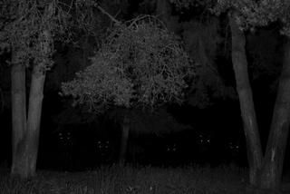 Grand Press Photo 2022