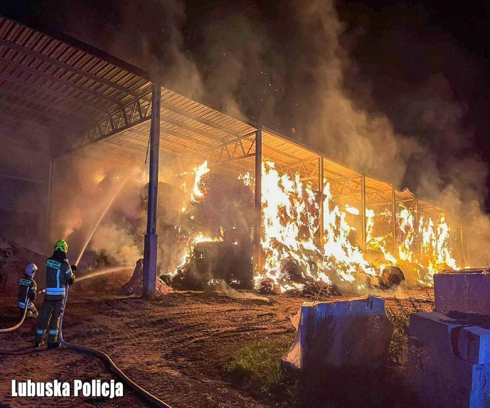 gorzów podpalacz strażak 1
