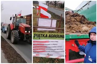Rolnicy na DK15: Dziś strajk ostrzegawczy, za tydzień blokada drogi na 3 dni [WIDEO]