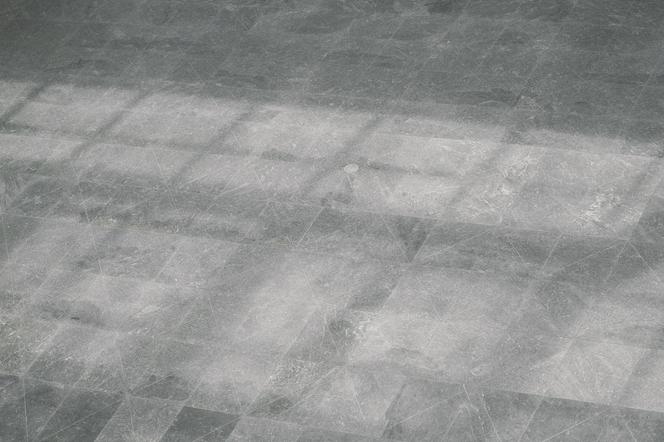 Projekt Praga, zadaszenie dziedzińca Zamku Sułkowskich