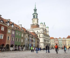 Poznań będzie czerpał ciepło z serwerowni! To jeden z pierwszych takich projektów w Europie