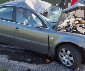 Śmiertelny wypadek pod Radomskiem. Osobówka zderzyła się z motocyklistami [ZDJĘCIA]