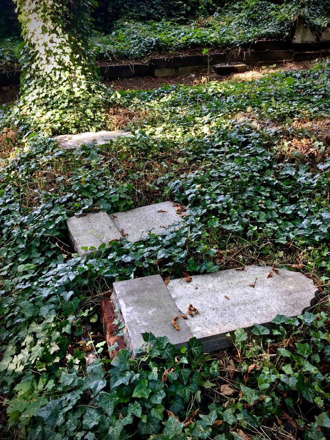 Skandal! Wandale zniszczyli zabytkowy cmentarz żydowski w Zabrzu. "To chamski akt głupoty!"