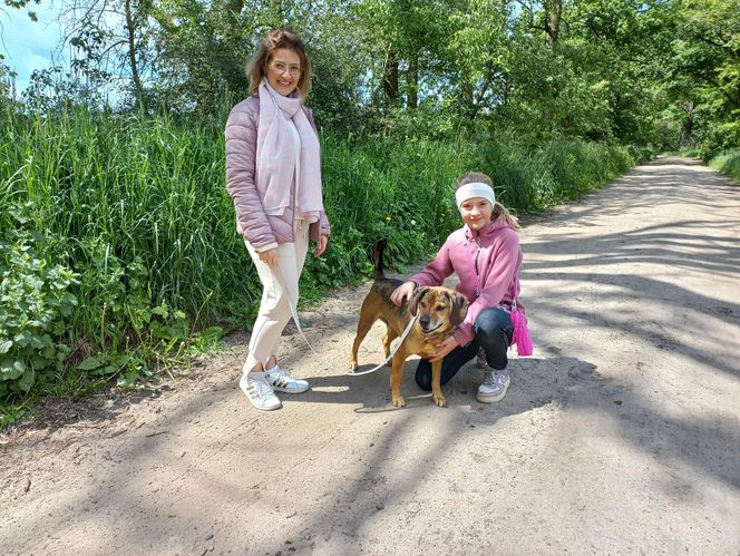 „Wszystkie psiaki nasze są” w schronisku w Henrykowie koło Leszna