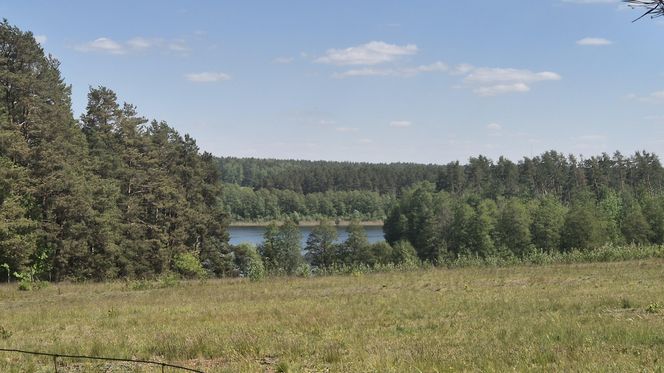 To jezioro w Olsztynie ma niezwykle czystą wodę. Jest kilka dzikich plaż, które świecą pustkami