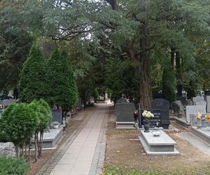 Ceny zniczy i wiązanek. Cmentarz Winiarski - Piątkowo Poznań