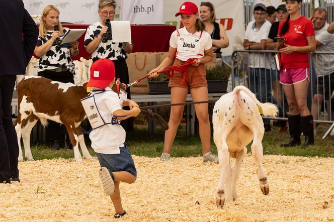 Jesienne Targi Rolnicze w Gryźlinach 2024. Wydarzenie przyciągnęło tłumy. Zobacz zdjęcia