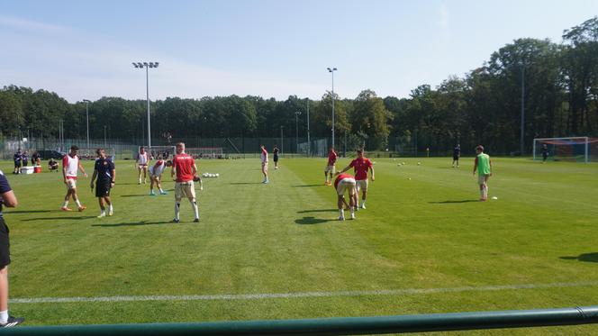 Widzew Łódź – Wisła Płock. Kibice zobaczyli debiutantów i byłego piłkarza