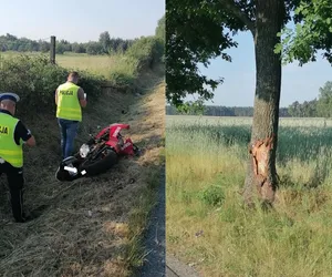 Motocyklista uderzył w drzewo! 
