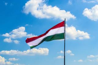 Prezydent Węgier podała się do dymisji! W tle pedofilia w domu dziecka