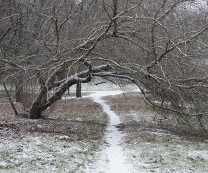 No i przyszła! Zima w Lublinie. Tak wygląda Park Rury