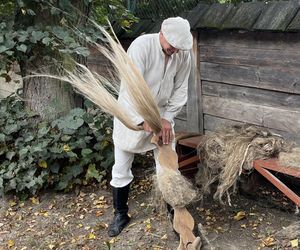 Niedzielna z lnem w Muzeum Wsi Lubelskiej. Trudno w to uwierzyć, że to taka niesamowita roślina