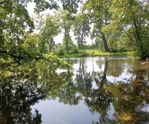 Parki podworskie w powiecie gdańskim