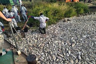 Żołnierze WOT: mimo ciągłego oczyszczania Odry, wiele ryb nadal leży na dnie rzeki 