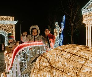 Największy park iluminacji na Pomorzu nadal otwarty. Lumina Park Pruszcz Gdański zaprasza! 