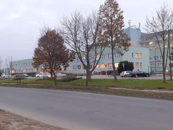 Wyciętych ma zostać również wiele drzew rosnących po stronie Mazowieckiego Szpitala Wojewódzkiego w Siedlcach