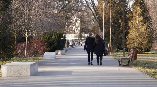 Mieszkańcy Lublina poczuli wiosnę. Na termometrach było ponad 20 stopni! Wiosenna odsłona Parku Ludowego w obiektywie