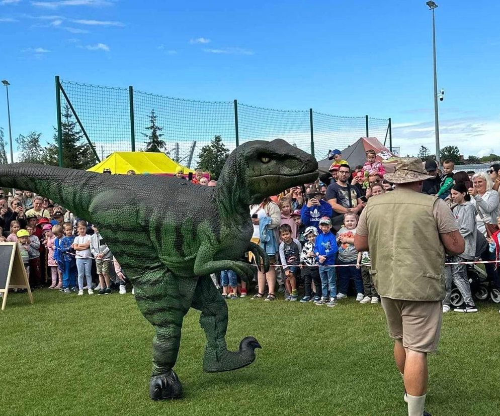 Festiwal dinozaurów w Bytomiu. Oto program