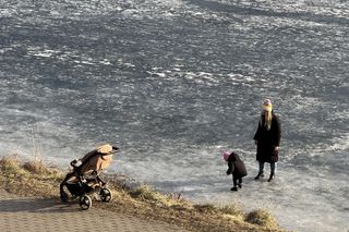Skrajna nieodpowiedzialność. Spacerują po płytkim lodzie z dziećmi i psami. Dramat na Pradze-Południe w Warszawie
