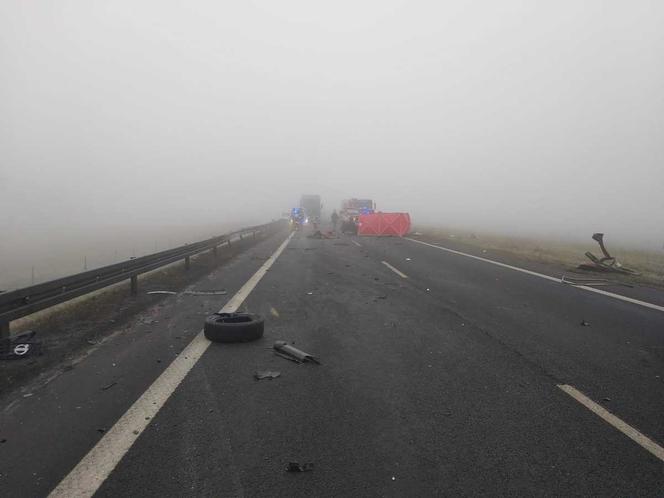 Śmiertelny wypadek na S22. Droga jest zablokowana! [ZDJĘCIA]