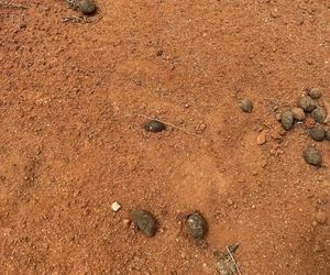 Tajemnicze zaginięcie 4-latka! Tylko jeden mały ślad