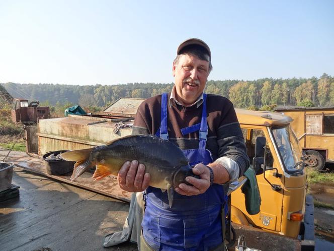 Karpie będą po 20 zł