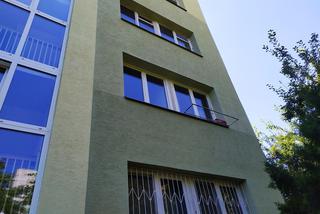 Prusaki na Ursynowie 