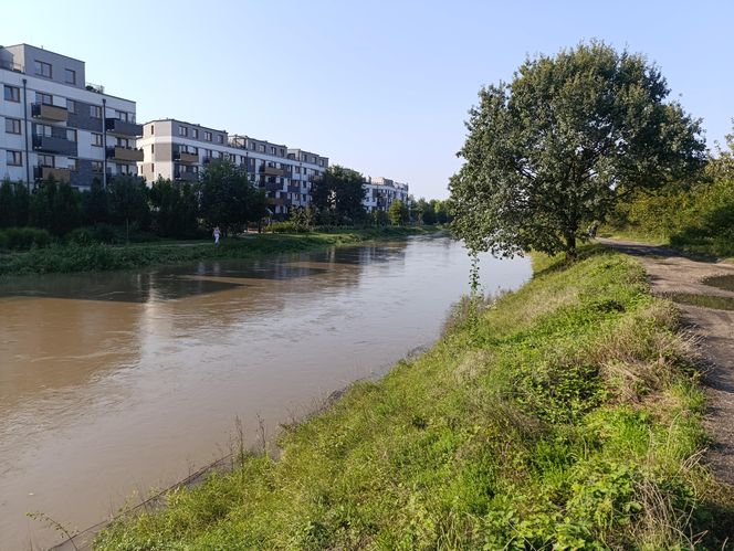 Stan rzeki Ślęza cały czas się podnosi. Przekroczono już stan alarmowy. Jak wygląda sytuacja?