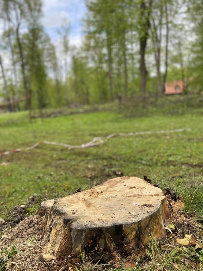 Miesiąc po wichurze, odwiedziliśmy miejsce tragedii w Rabce-Zdroju. Oto, co zobaczyliśmy